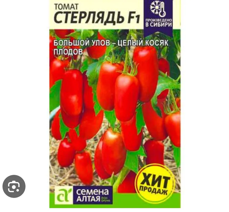 Томат Стерлядь F1