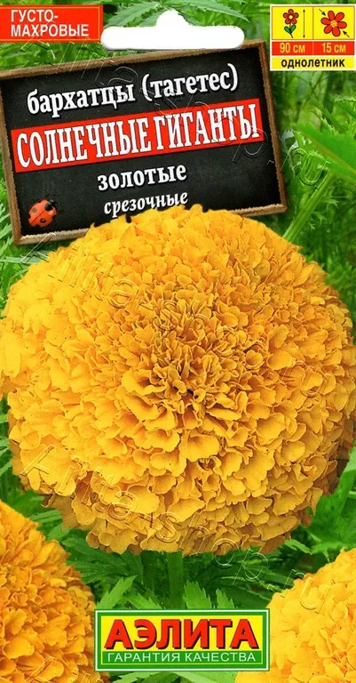 Бархатцы Солнечные гиганты Золотые