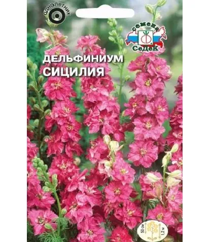 Дельфиниум Сицилия