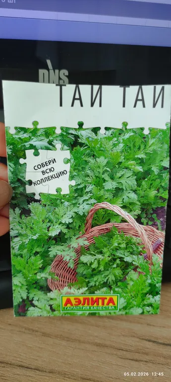 Хризантема съедобная Тай Тай