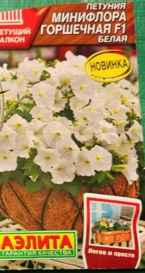 Петуния Минифлора Горшечная F1 белая