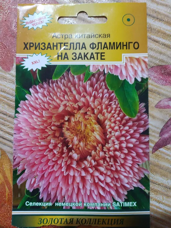 китайская Хризантелла Фламинго на закате