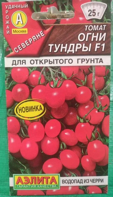 Томат Огни Тундры F1