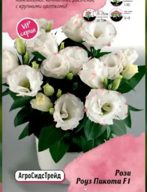 Эустома Рози Роус Пикоти F1