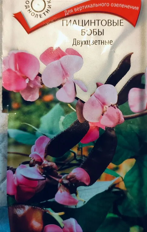 Долихос (гиацинтовые бобы) Двухцветные