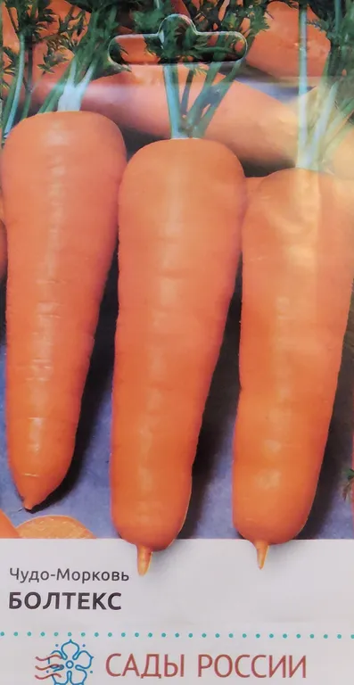 Морковь Болтекс F1