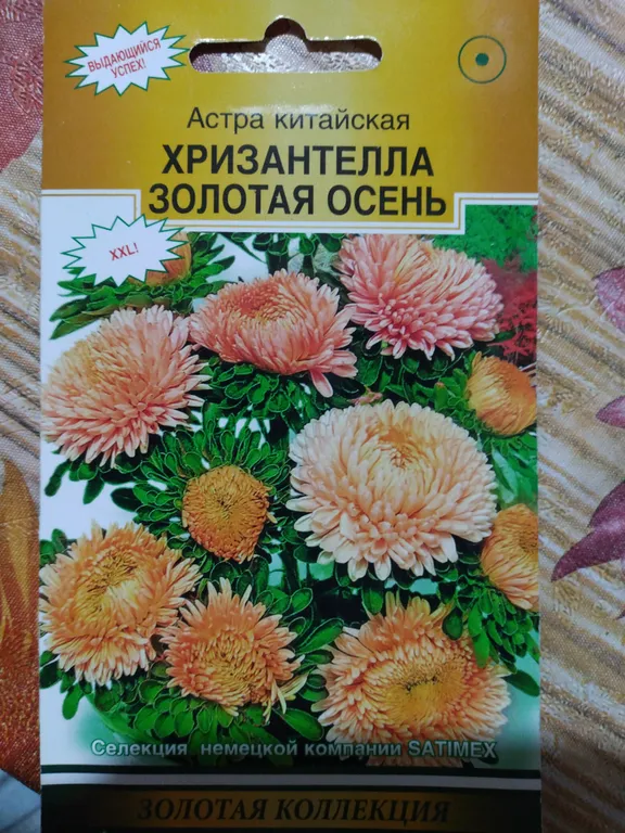 Астра китайская Хризантелла Золотая осень