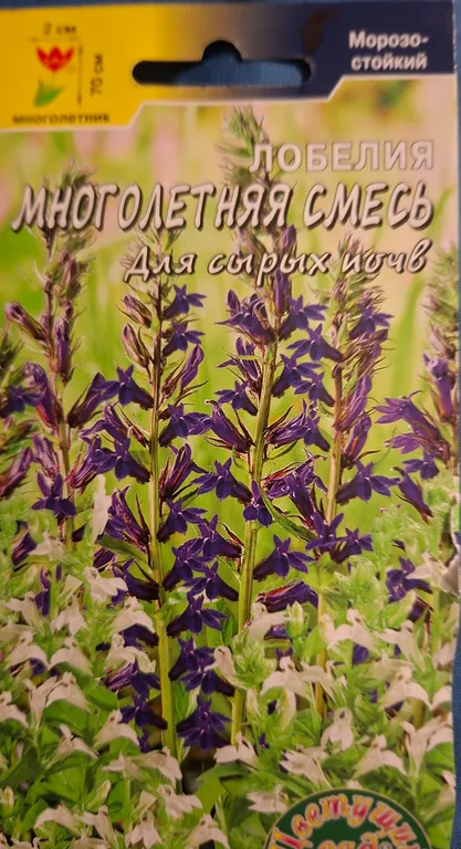 Лобелия Многолетняя смесь для сырых почв