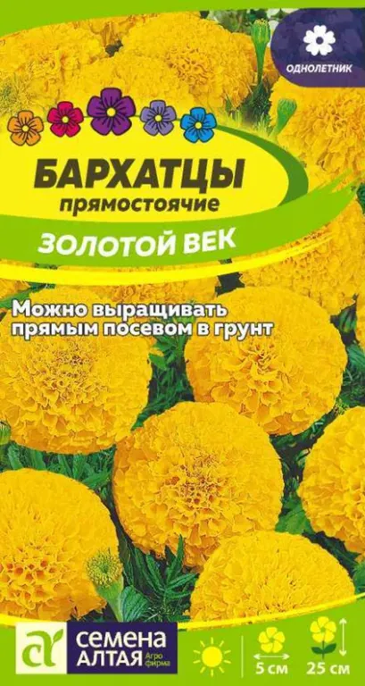 Золотой век