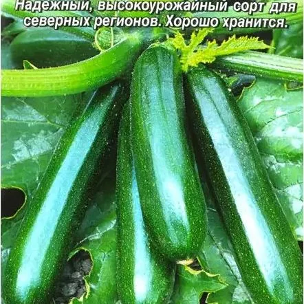 Кабачок Нефрит