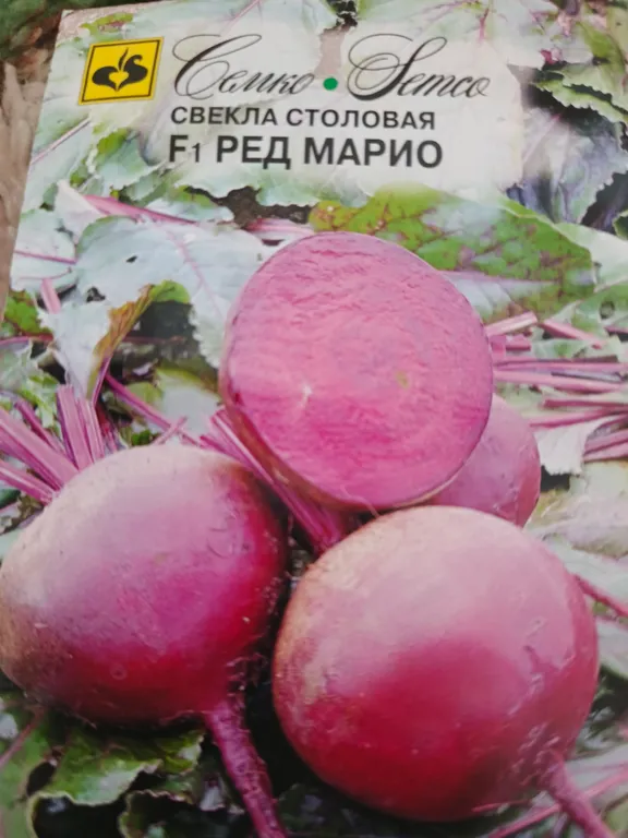 Свекла столовая Ред Марио F1