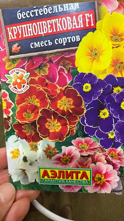 Примула бесстебельная Крупноцветковая смесь