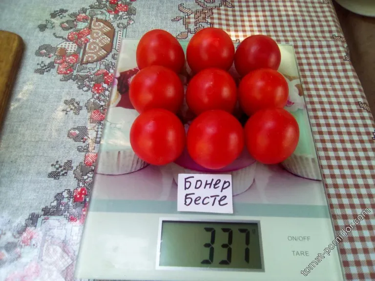 Томат Бонер бесте