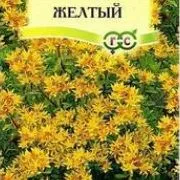 Очиток Желтый