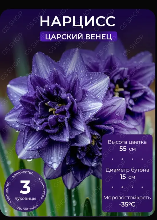 Царский венец