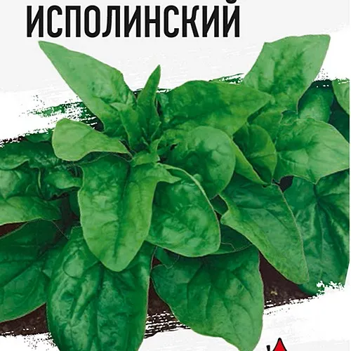 Шпинат Исполинский