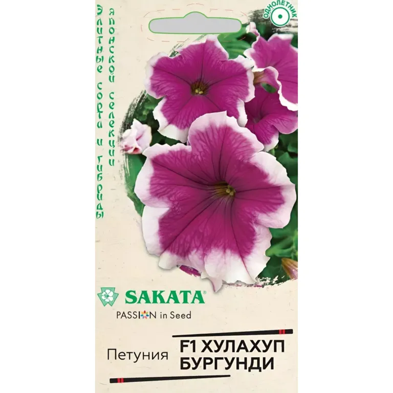 Хулахуп бургунди 