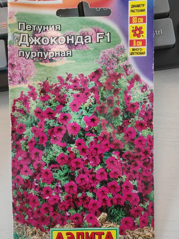 Петуния каскадная стелющаяся Джоконда Пурпурная F1
