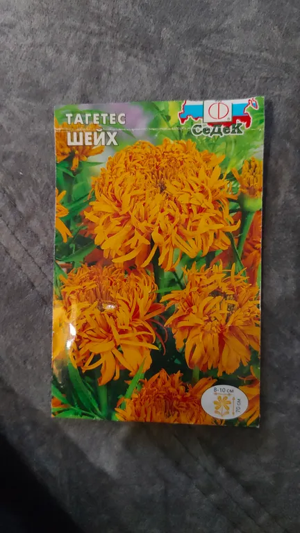 Тагетес Шейх (прямостоячий, хризантемовидный, темно-оранжевый)