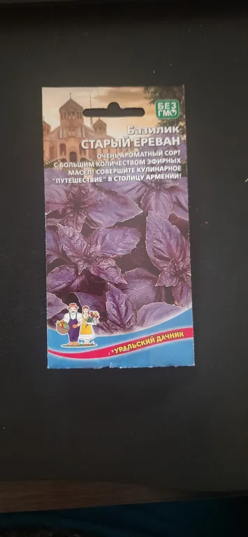 Базилик Старый Ереван