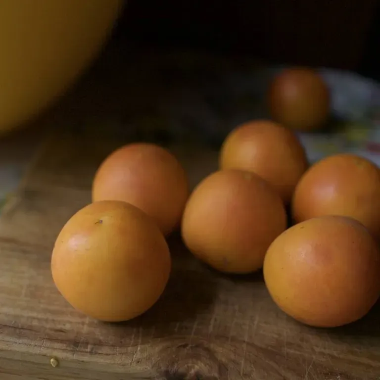 Томат Оранжевый персик