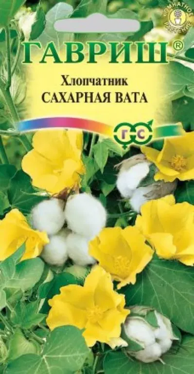 Хлопчатник Сахарная вата