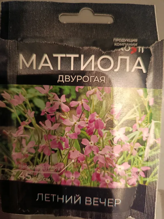Маттиола Летний вечер
