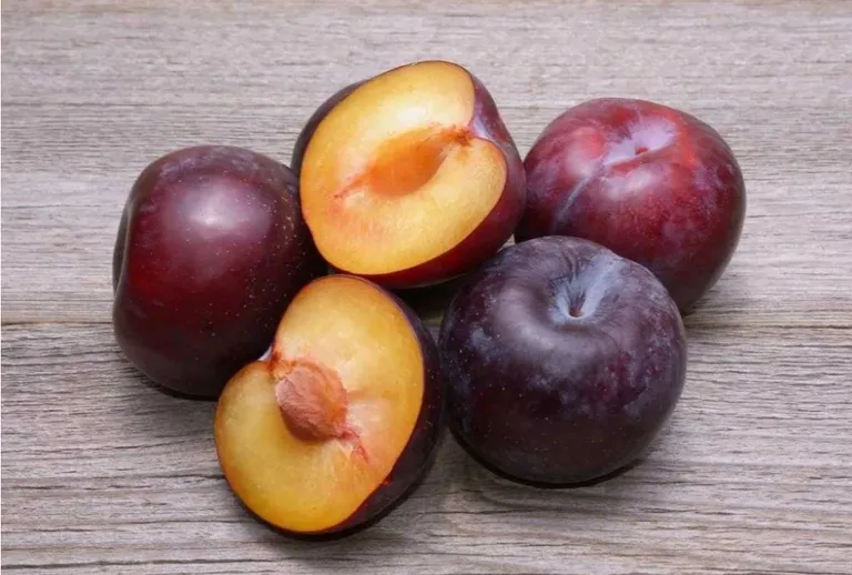 Нектаприум