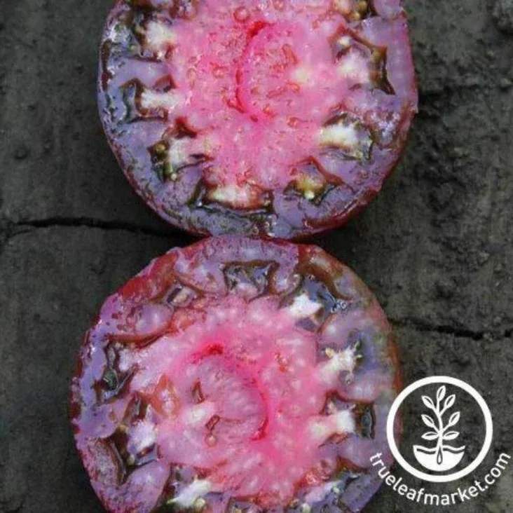 Томат Black Krim