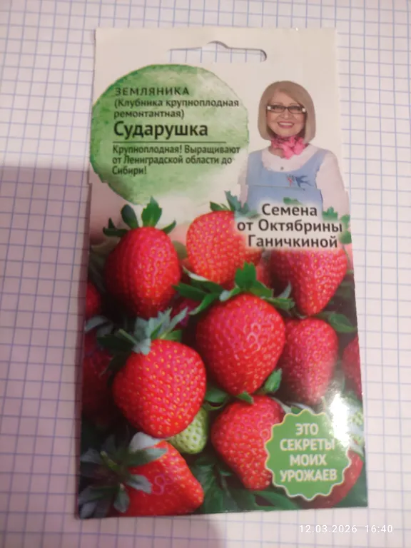 Земляника Сударушка 