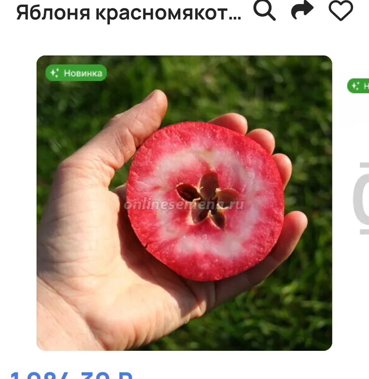 Яблоня Редлав Одиссо красномятная