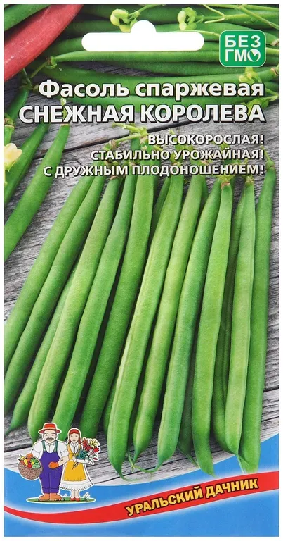 Фасоль Снежная королева