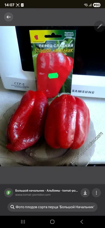 Перец Большой начальник