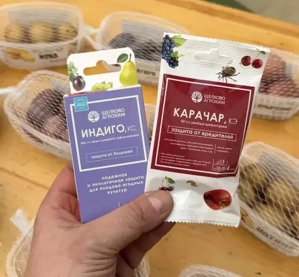 Весенняя обработка сада - эффективный метод.