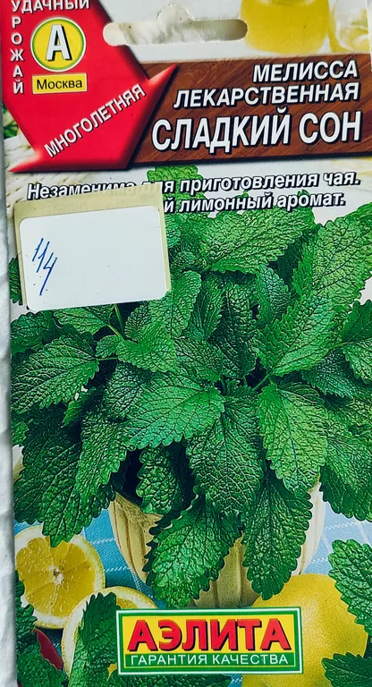 Мелисса лекарственная Сладкий сон