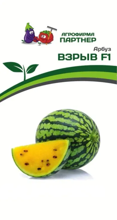 Арбуз Взрыв F1