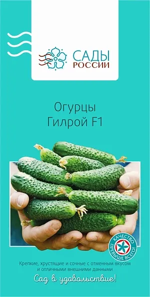 Огурец Гилрой F1