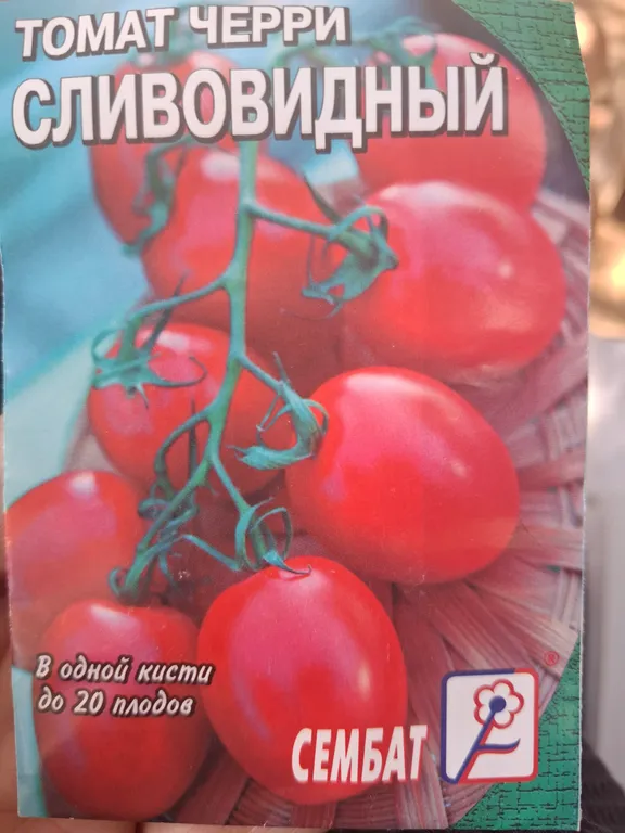 Томат Черри сливовидный