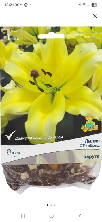 Барута ОТ-гибрид