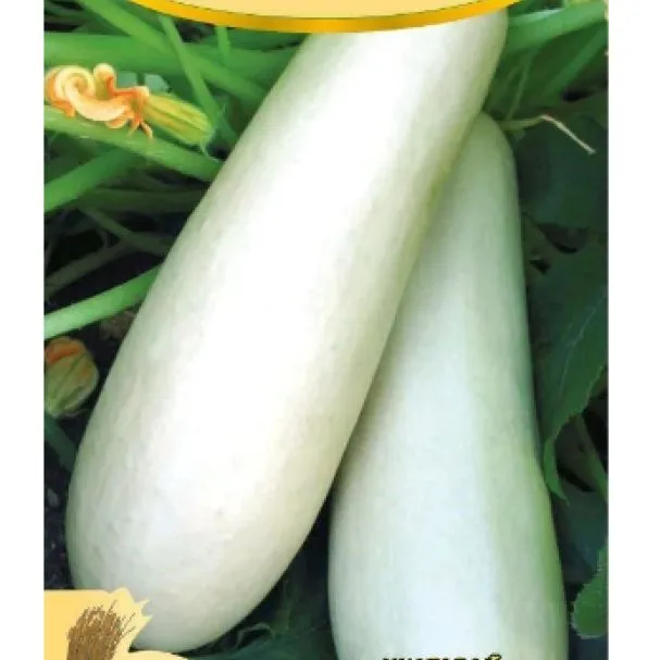 Кабачок Грибовский