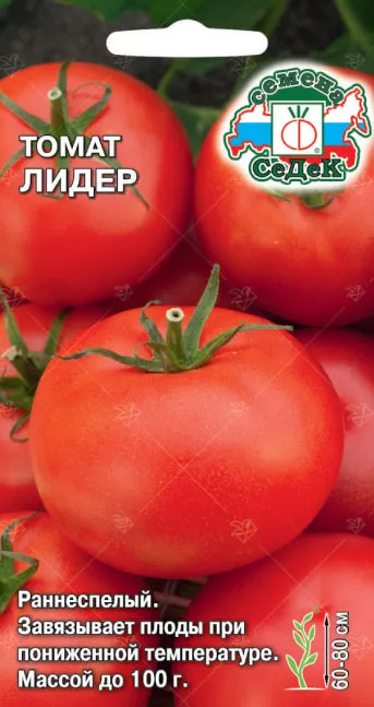 Томат Лидер