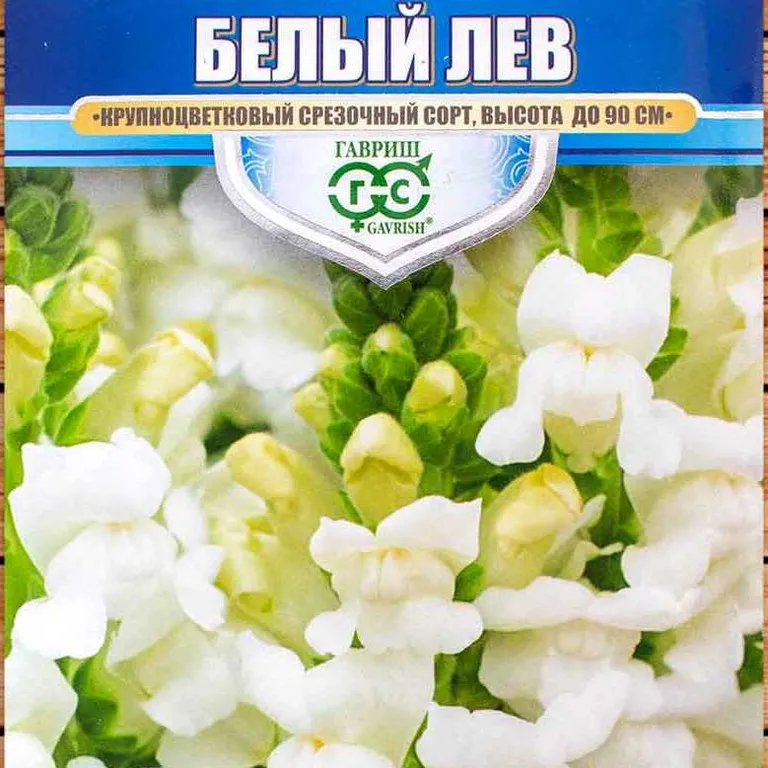 Антирринум Белый лев