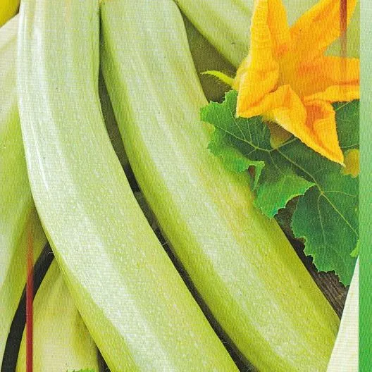 Кабачок Страусенок