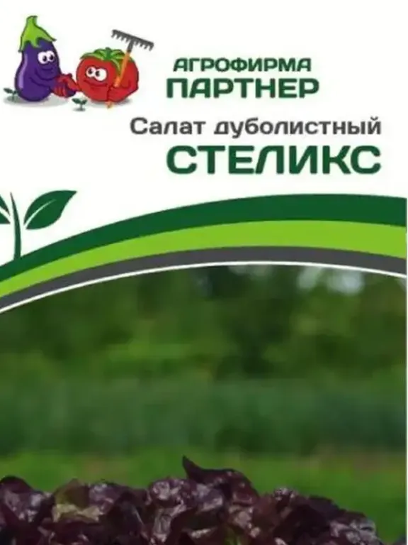 Стеликс