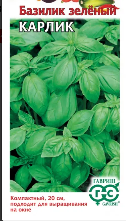 Базилик Карлик зеленый 