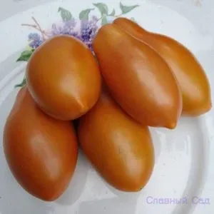 Томат Бронза