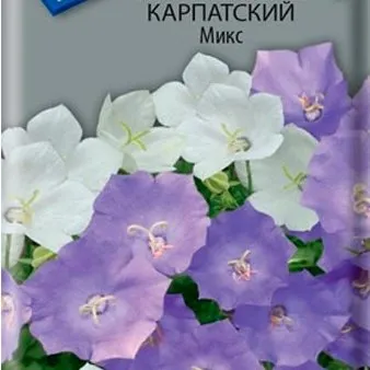 Колокольчик карпатский Микс