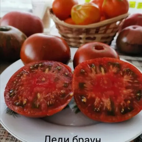 Томат Леди Браун