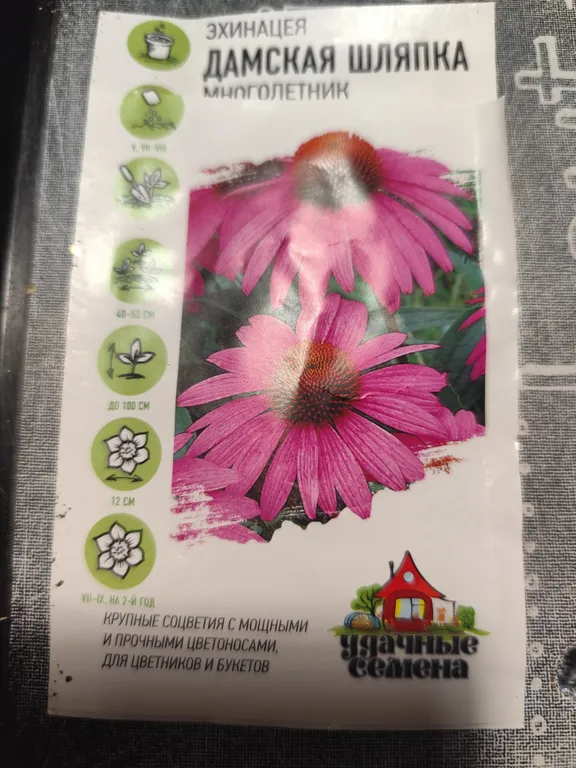 Эхинацея Дамская шляпка