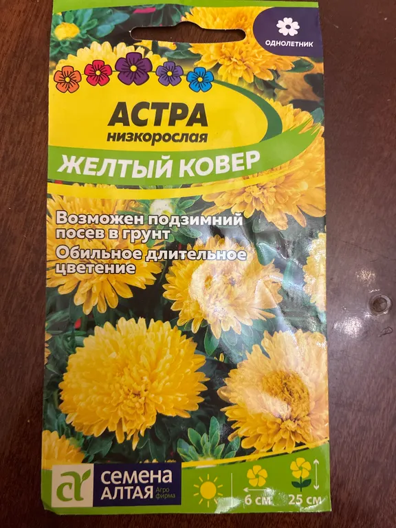 Астра Желтый ковер